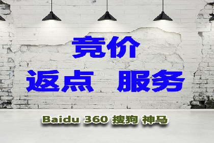 案例分享：SEM代运营如何实现ROI最大化